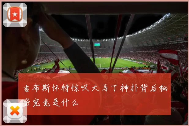 吉布斯怀特惊叹大马丁神扑背后秘密究竟是什么