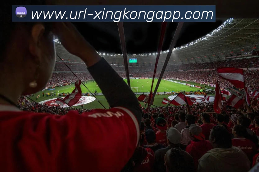 星空体育APP 封面图