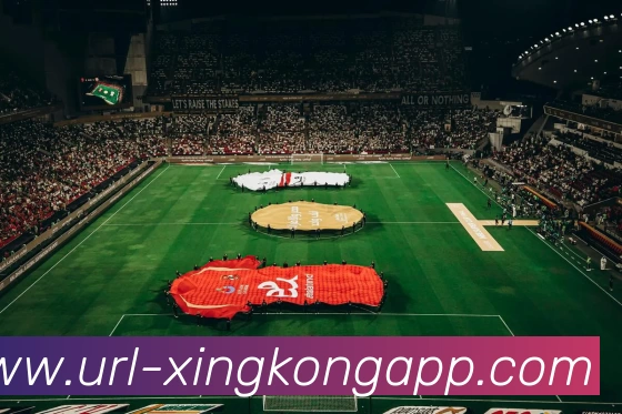 星空体育APP 封面图